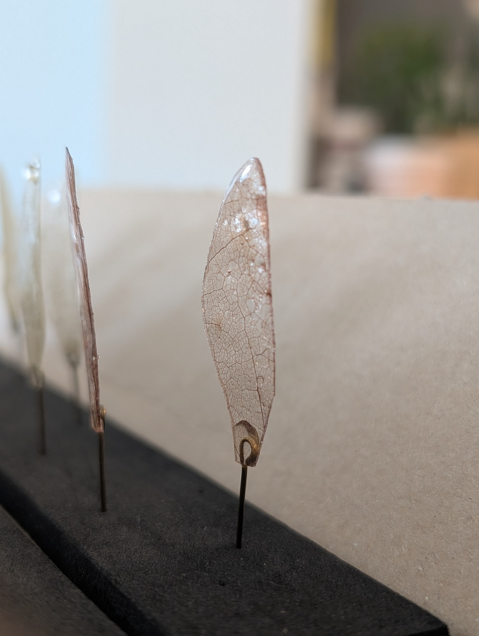 Close-up of a finished artificial dragonfly wing showing its vein texture and attachment point