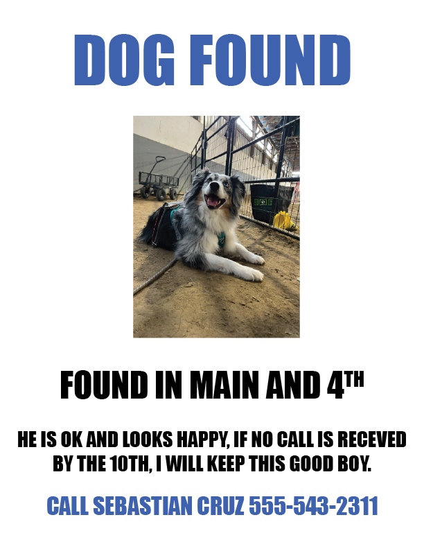 Found dog community bulletin board flyer